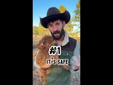 A must-have solution for anyone dealing with pests: the A24 Mouse & Rat Trap by Goodnature!