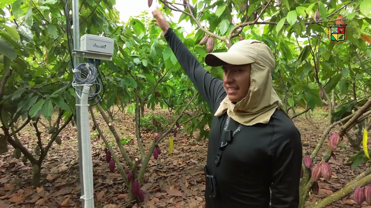 Agricultura tropical 4.0 para una gestión eficiente del agua