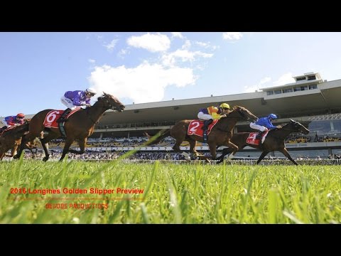 2016 Longines Golden Slipper Preview
