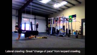 Crawling Progressions