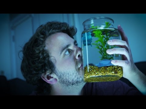 My name is Pierce Fulton and this is Borrowed Lives