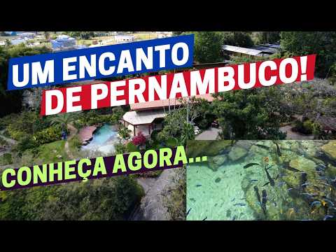 MONJOPE e a MAIOR sementeira do Norte e Nordeste brasileiro