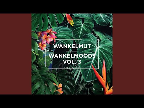 Abiro (Riot Stereo & SURAJ Remix)