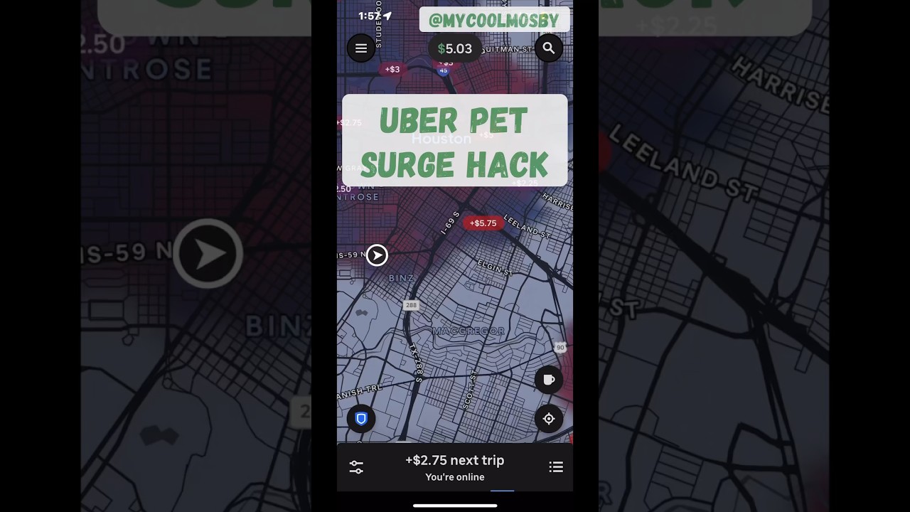 $12 in 5 minutes! Uber SURGE Hack! 🐶 🚗 💰 #ubertips #uberdriver #uber
