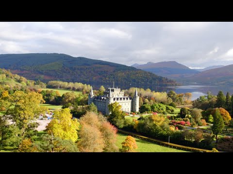 Cin&eacute;cosse video.