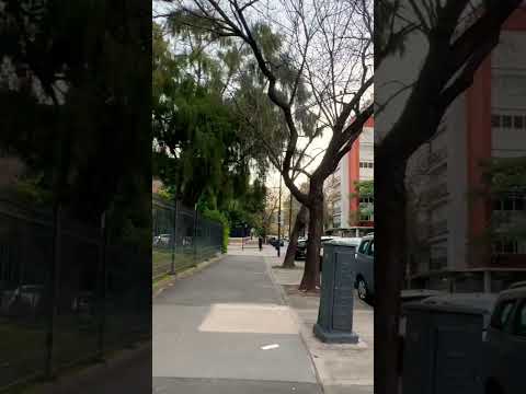 Estamos caminando por Plaza Castelli en el barrio de Belgrano R #walking #shorts #belgrano #bsas
