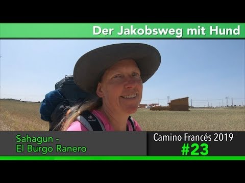 Jakobsweg mit Hund - Doku 2019 (4K) Tag 23: Sahagun nach El Burgo Ranero || Camino Santiago Frances