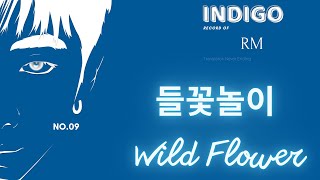 Download lagu [Vietsub] Wild Flower (들꽃놀이) - RM (ft. youjeen) mp3