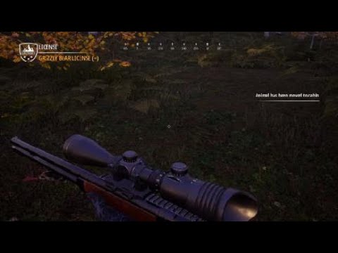 Hunting Simulator 2 grizzly bear rare