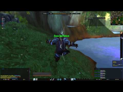 Got Level 24 as a Pandaren Hunter!