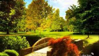 Captain Of A Shipwreck.. Neil Diamond