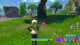 Fortnite 生放送