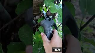 Akumulátorové zahradní nůžky TEXAS GS 1680Li