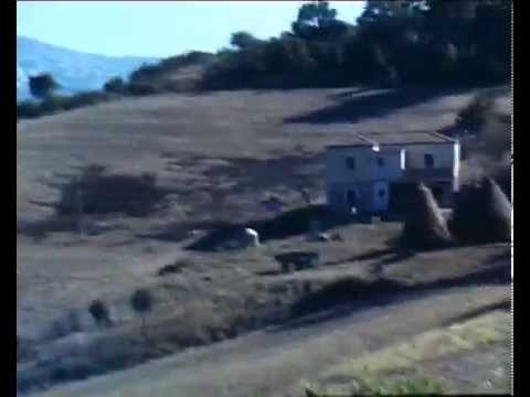 Grumento Nova & dintorni.. "Summer'79"