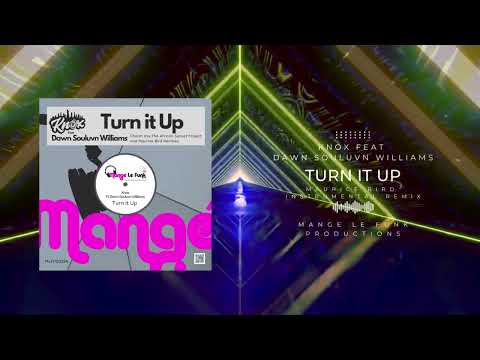 "Turn It Up" Maurice Bird Remix Instrumental Remix by Knox feat Dawn Souluvn Williams