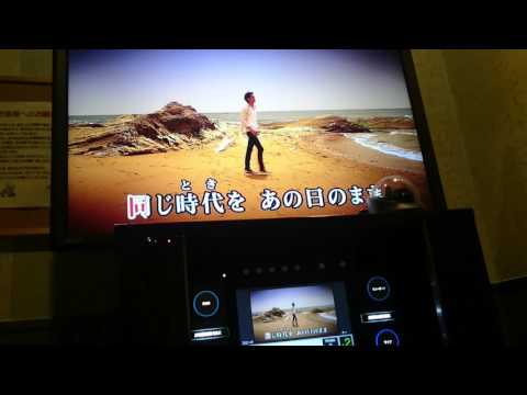 WANDS「星のない空の下で」歌ってみました。