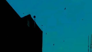 Download lagu Sp walet open protect 16 juta mp3 Download lagu Sp walet open protect 16 juta mp3