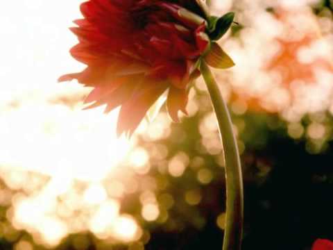 Happy Birthday, Max Kevish!