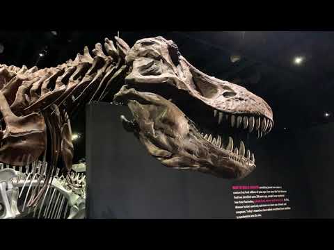 A Walk with The Relic: COSI pt. 3 The Dinosaur Exhibit