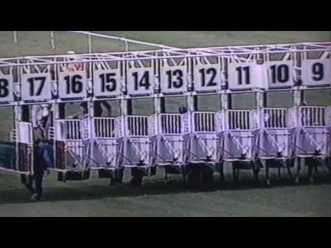 Nagroda Janowa - 27.06.2004 - Calderon  (Eukaliptus - Celna)