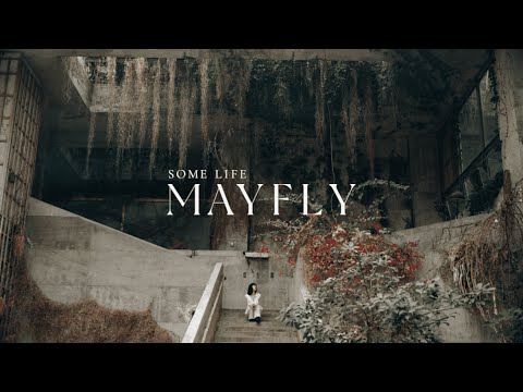 Some Life  【Mayfly】 Music Video