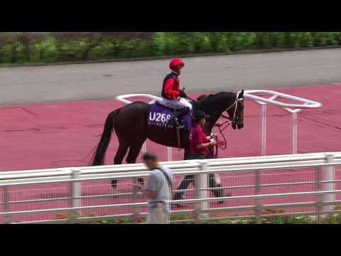 Singapore's Legend Retires (Rocket Man)