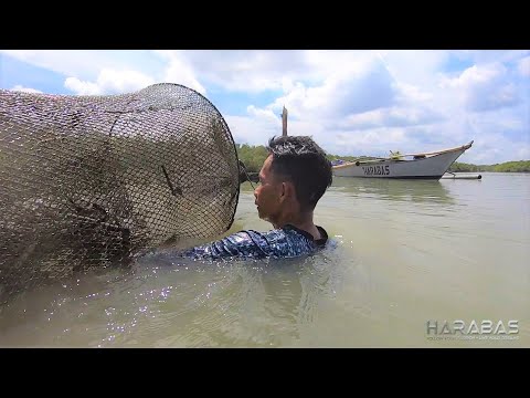 EP361-Part 1 - Pagpandaw ng Bokatot | Ginataang Gulay Ala Dalaman | Occ. Mindoro