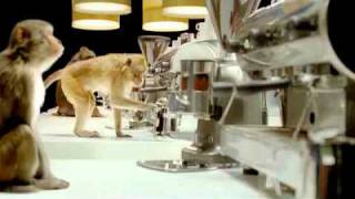 Monkeys Typewriters Video