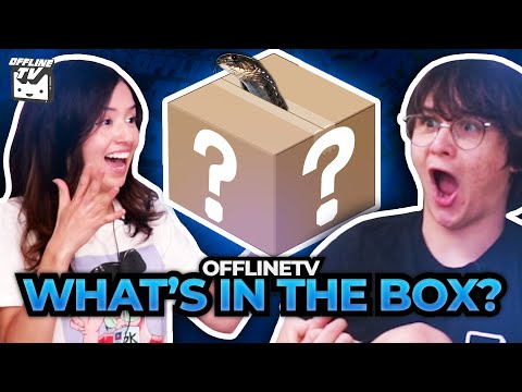 OFFLINETV WHATS IN THE BOX CHALLENGE