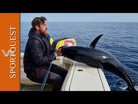 Bluefin Tuna Fishing In Valencia, Spain