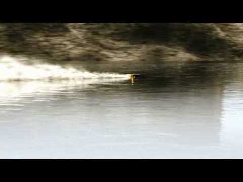 Bloodhound SSC (Fastest Car, 1000 MPH)