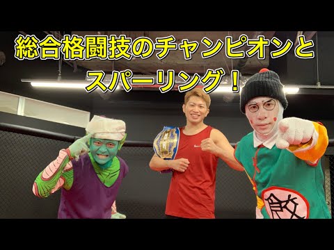 【DB芸人】道場破り第ニ弾！総合格闘技王者とスパーリング！
