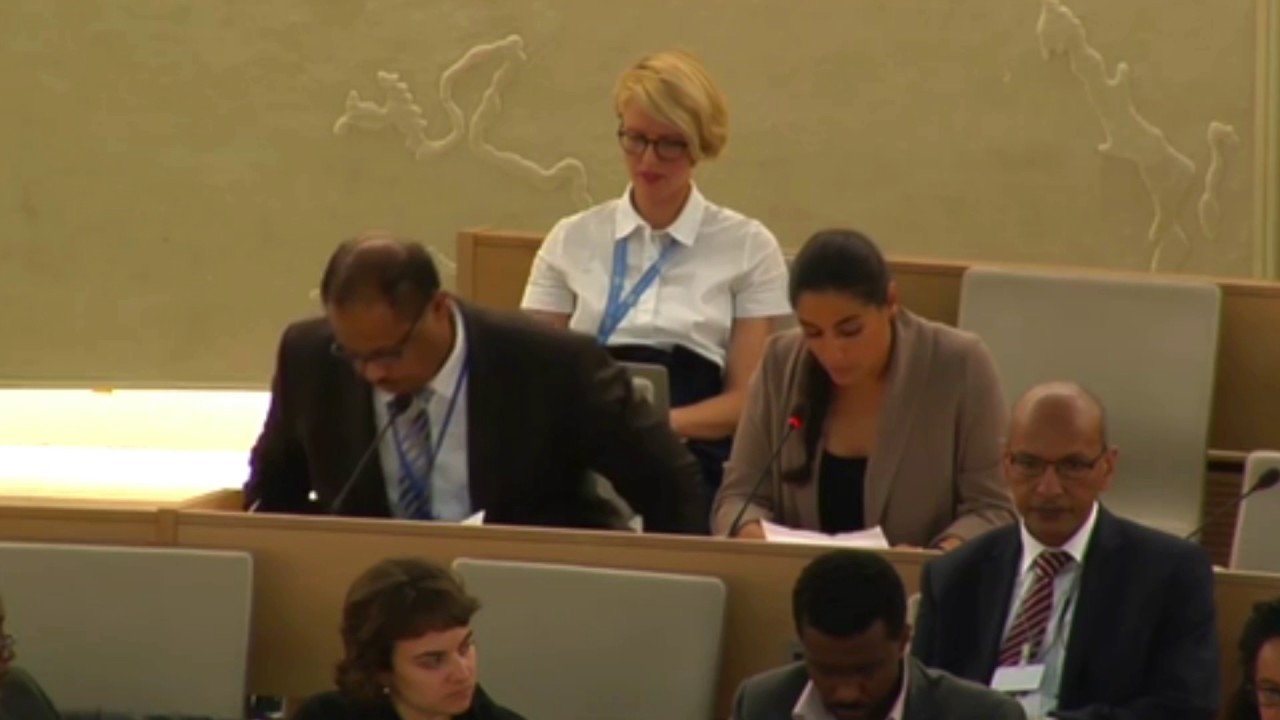 HRC35: Interactive Dialogue with the Special Rapporteur on Eritrea - Laila Matar