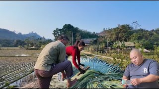 Download lagu Mother Thuy strangely told Duyen to pay the debt instead of Hong. mp3 Download lagu Mother Thuy strangely told Duyen to pay the debt instead of Hong. mp3