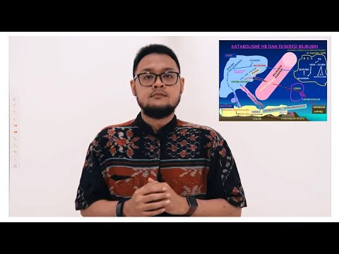 Metabolisme Bilirubin (Katabolisme Heme)