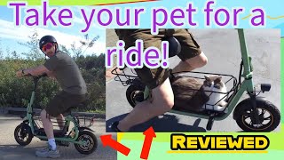 Gyroor C1 Pro Electric Scooter for pets and cargo Review 🛵 800W Power – The Ultimate Daily Commuter!