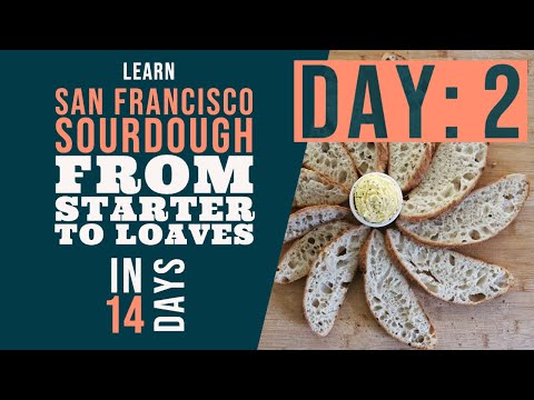 San Francisco Sourdough Bread Series: Day 2 - Starting your Starter
