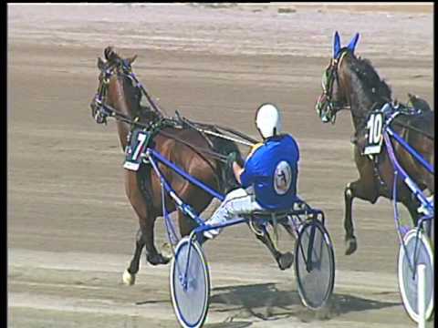 Trotto 19/05/2017 - 3ª corsa