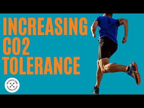 How To Improve CO2 Tolerance | Breathwork and breathholds in training
