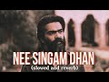 Nee Singam Dhan (slowed & reverb) | Pathu Thala