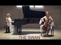 The Swan / le Cygne - Camille Saint-Saëns // Cello & Piano