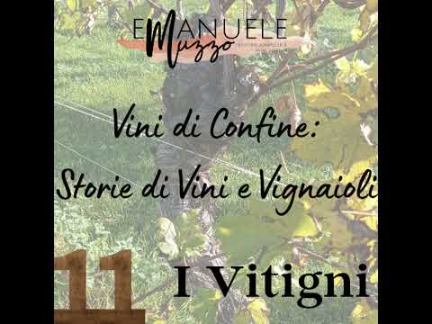 Episodio 11: I Vitigni