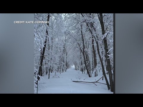 For many, this week's snowstorm was pretty as a picture