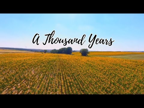 A Thousand Years | Karaoke | No Copyright | Cindy Isahac