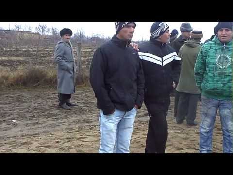 "Incuratul si botezul cailor" de "Boboteaza" Concurs de calarie - Ghimpeteni MPEG0023.MP4