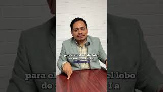 Falsa la información de la PDH entorno al Lobo