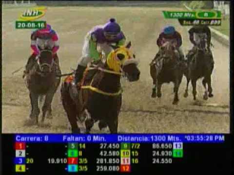 Resumen Sábado, 20 de Agosto de 2016 - La Rinconada