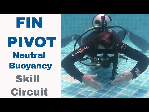 Neutral Buoyancy Fin Pivot LPI 🔥 Divemaster & PADI IDC Skill Circuit
