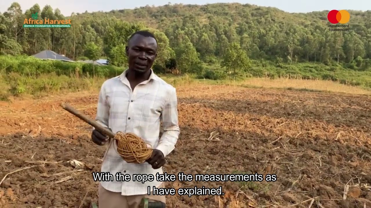 Young Farmer Ups Planting Game With Mechanization