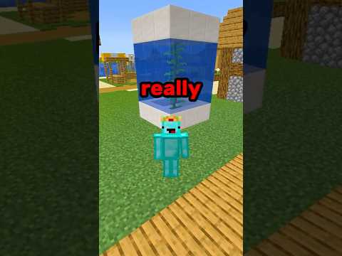 Minecraft Build Tricks?! ⛏💎